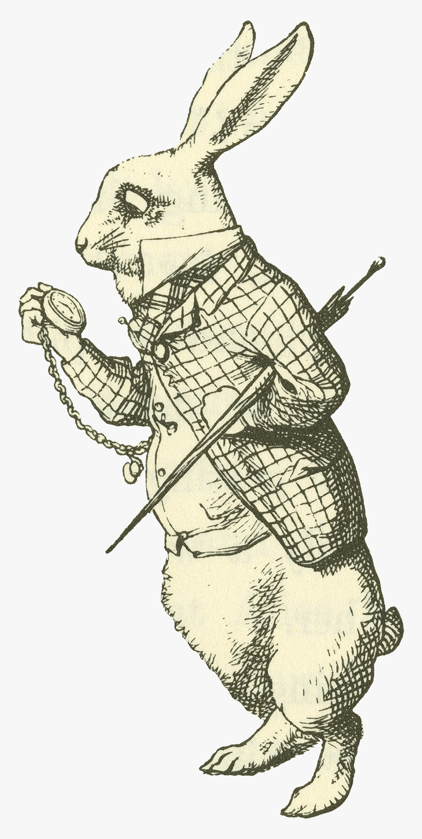 Alice Module2 Aaiw1984tenniel - Rabbit Alice In Wonderland Drawing, HD Png Download
