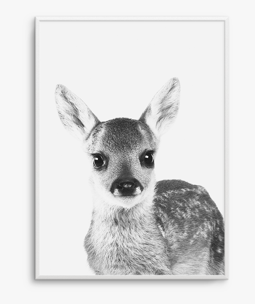 Clip Art B W Art Print - Baby Deer Black And White, HD Png Download