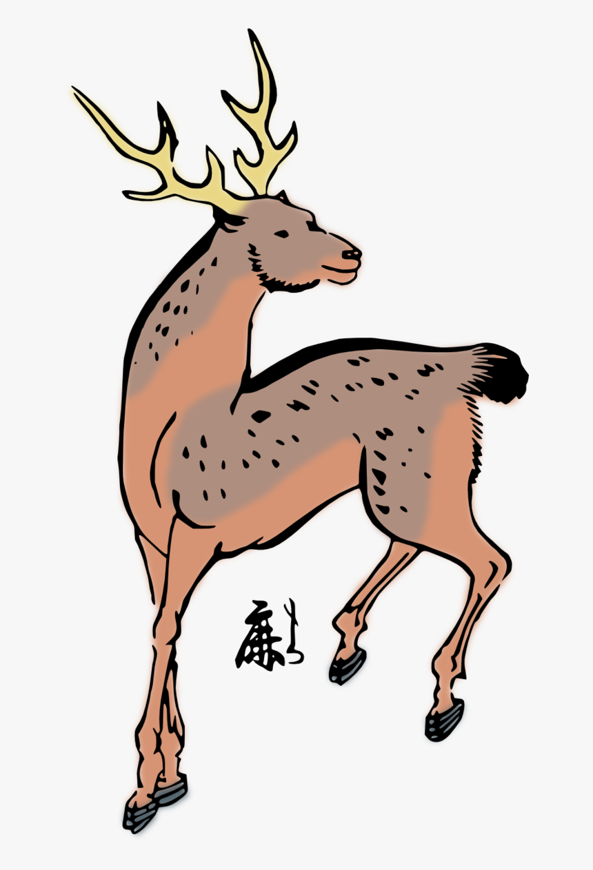 Baby Deer Images Image 1 Hd Photos Clipart - Kijang Clipart, HD Png Download