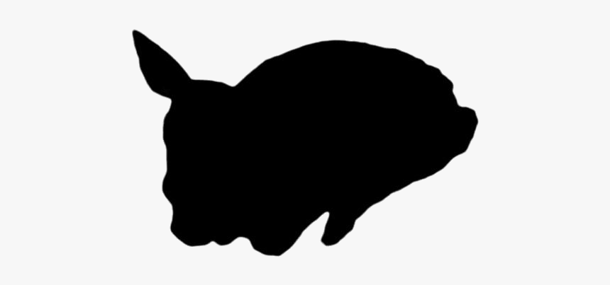 Baby Deer Png Transparent Images - Cat, Png Download