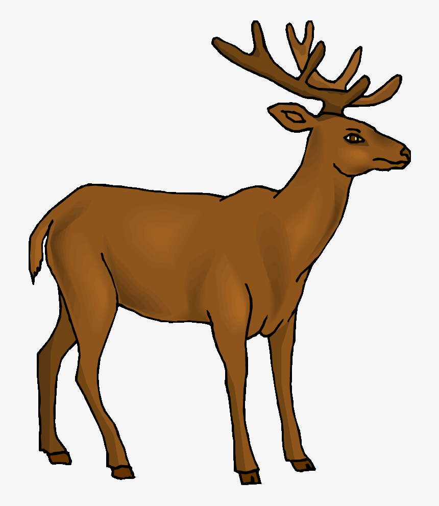 Baby Deer Clip Art - Deer Clipart Gif, HD Png Download