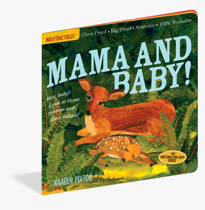 White-tailed Deer, HD Png Download