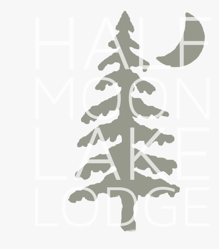 Christmas Tree, HD Png Download