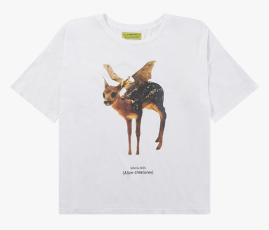 Chihuahua, HD Png Download