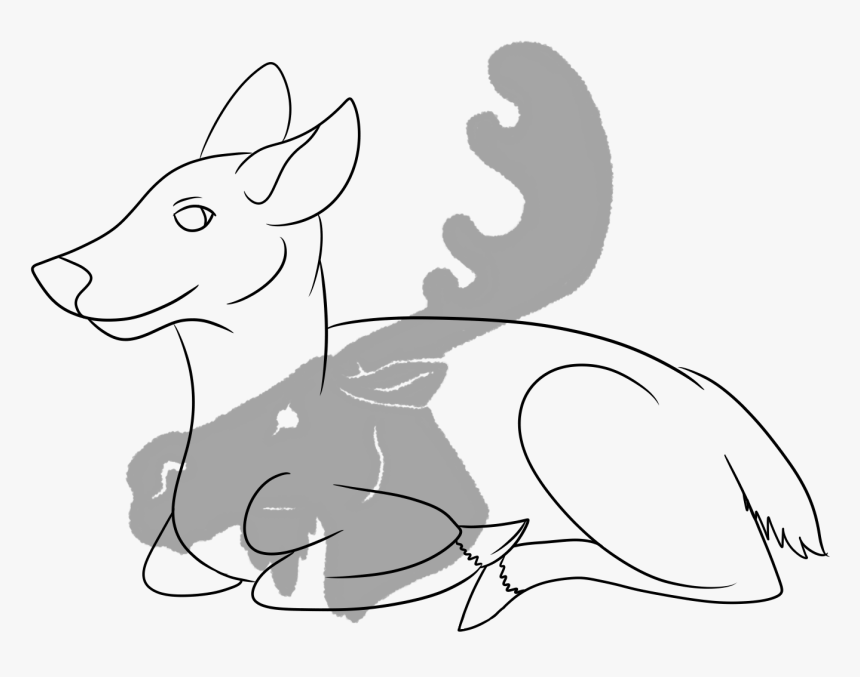 Kangaroo, HD Png Download