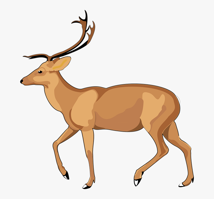 Nature Clipart Deer Free - Debden Park High School, HD Png Download