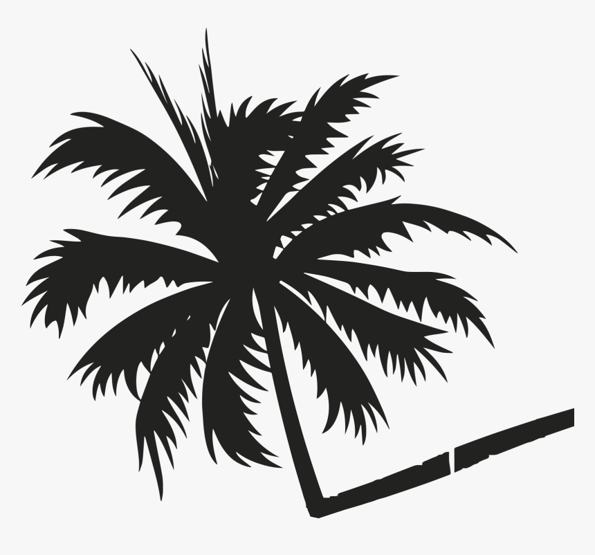 Transparent Palmeira Png - Coconut Tree Vector Background, Png Download