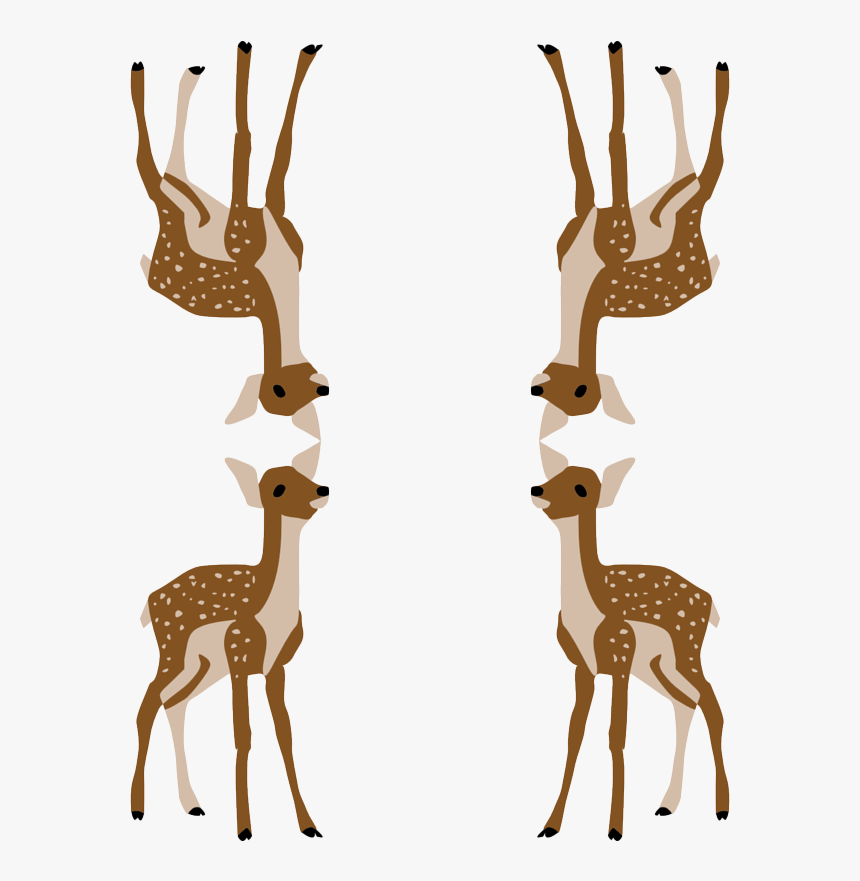 Deer, HD Png Download