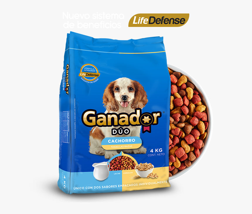 Ganador Adulto Razas Pequeñas, HD Png Download