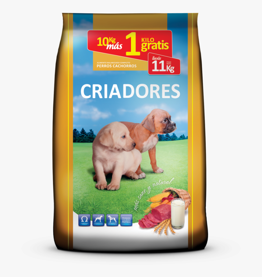 3d-cachorro - Companion Dog, HD Png Download