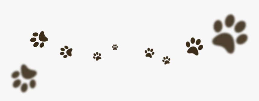 Japanese Terrier, HD Png Download