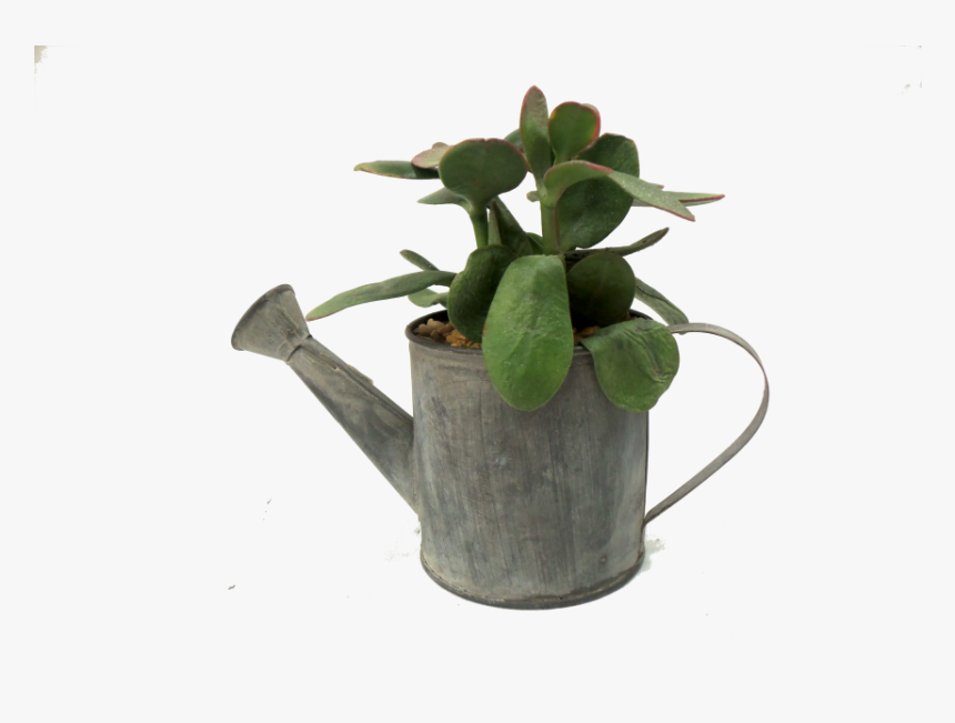 Flowerpot, HD Png Download