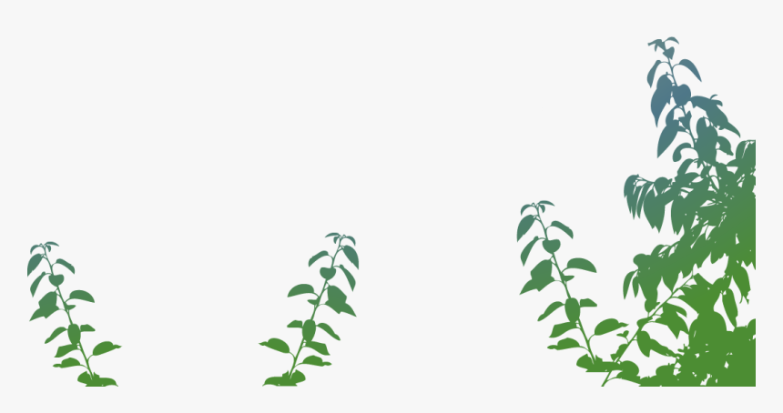 Transparent Arbusto Png - Arbustos De Marihuana Png, Png Download