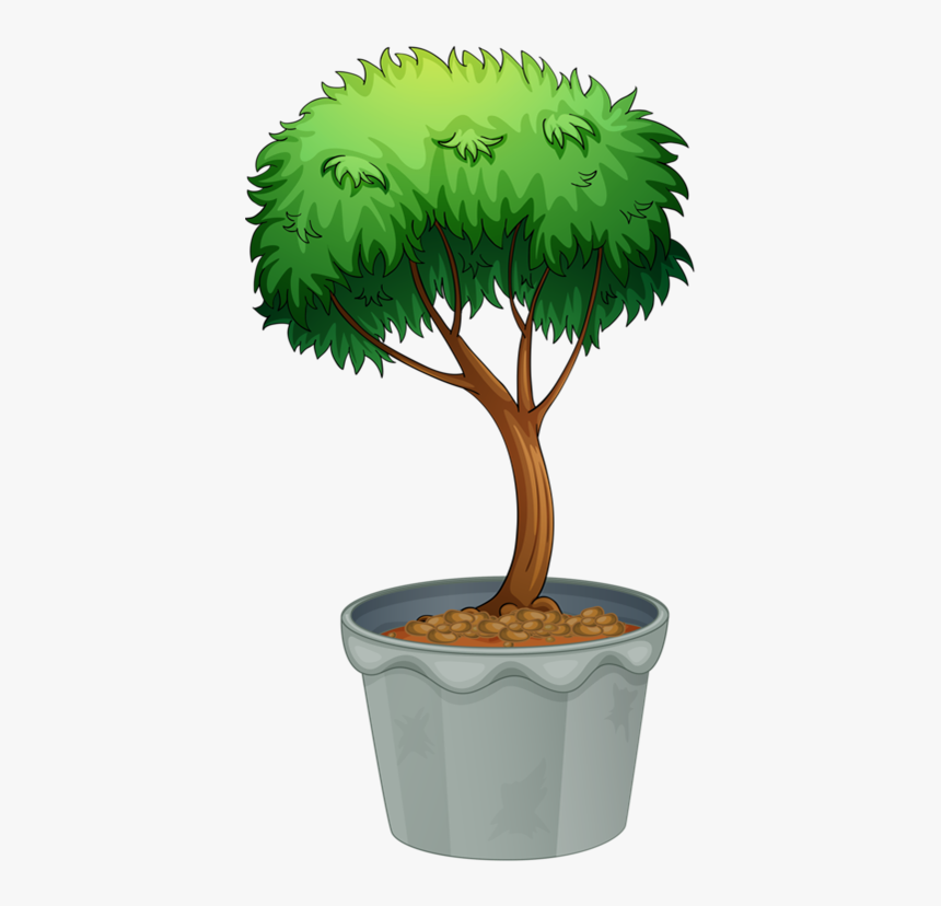 Arbustosfrutaflores En Macetaplantas - Flowering And Nonflowering Plants Cartoon, HD Png Download