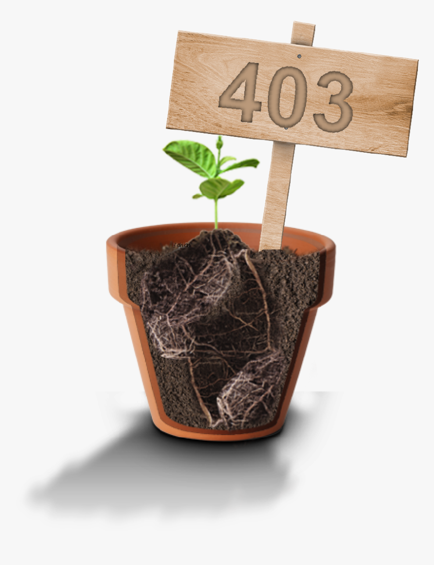 Flowerpot, HD Png Download