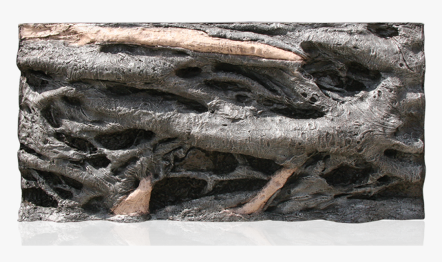 Driftwood, HD Png Download