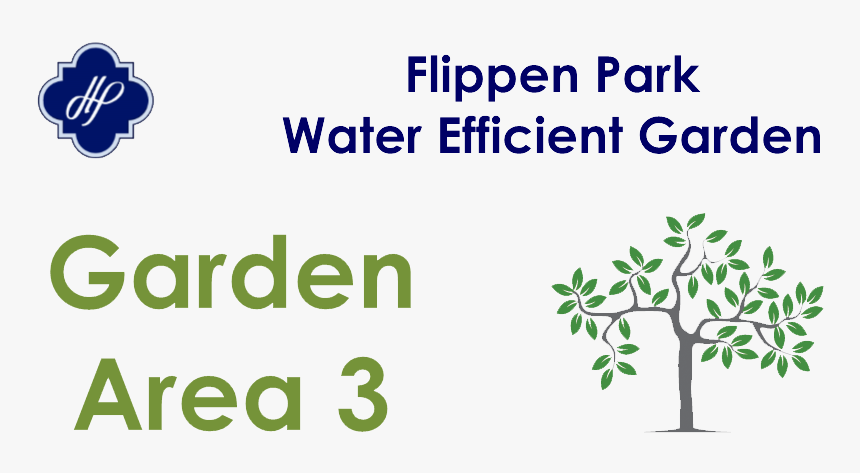 Tree, HD Png Download