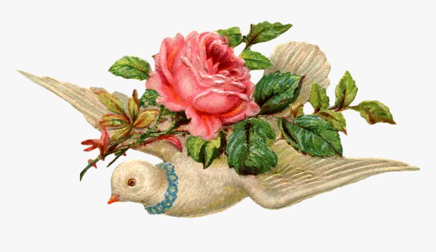 Transparent Dove Png - Vintage Bird With Flower Png, Png Download