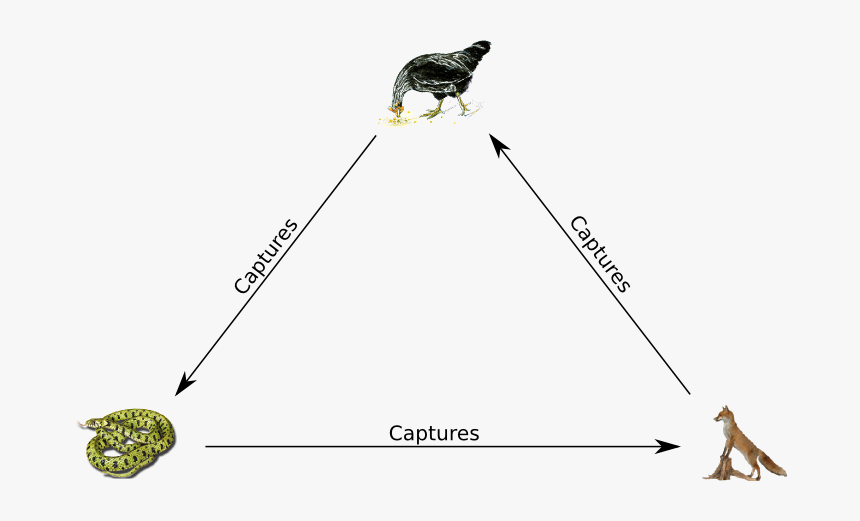 How Do We Relate It To Rock Paper Scissors - Rock Paper Scissors Replicator Dynamics, HD Png Download