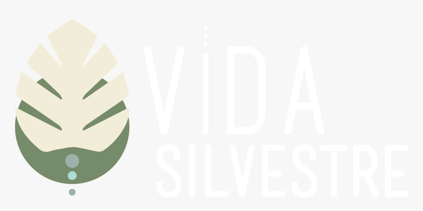 Bienvenidos A Vida Silvestre Tulum - Graphic Design, HD Png Download