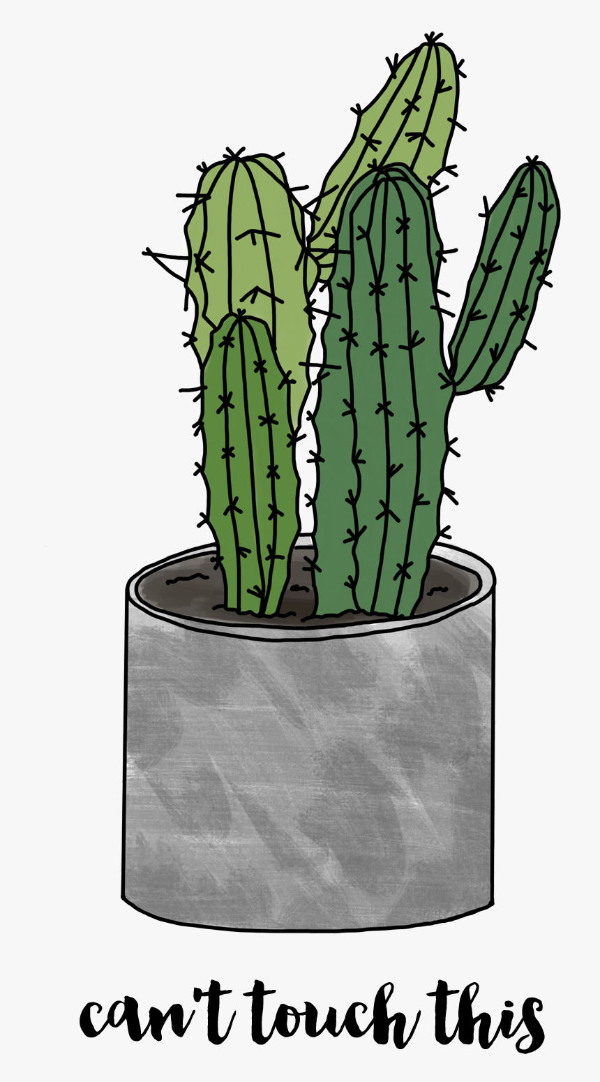 Cactus Backgrounds, HD Png Download