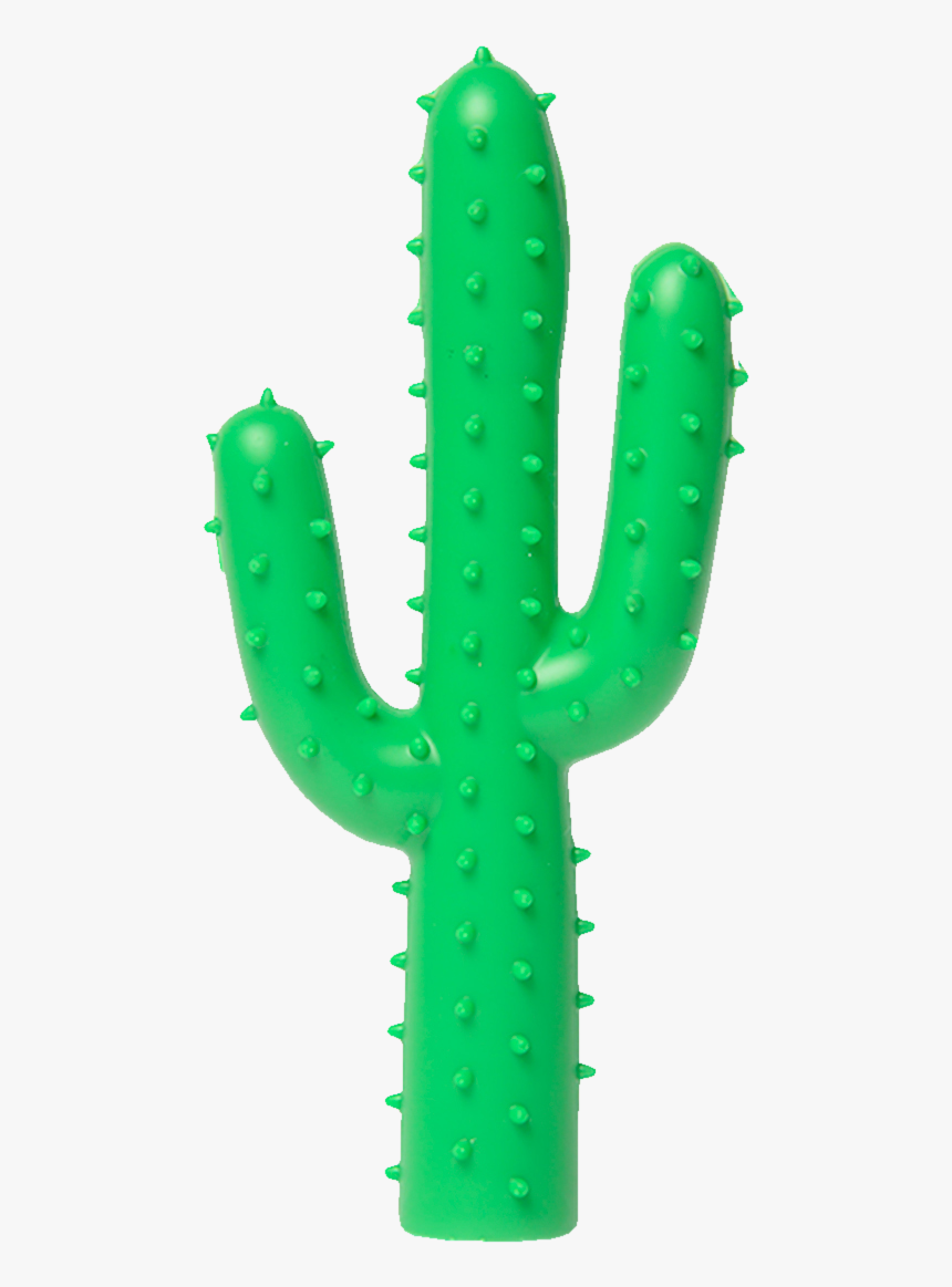 Silly Succulent, Cactus Dog Toy-0 - Cactus Toy Png, Transparent Png