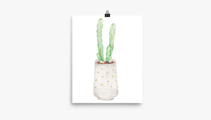 Cactus, HD Png Download