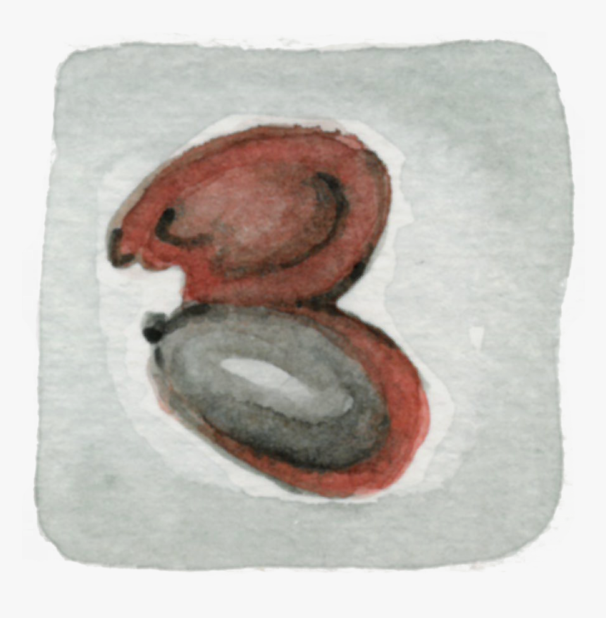 Bean , Png Download - Painting, Transparent Png