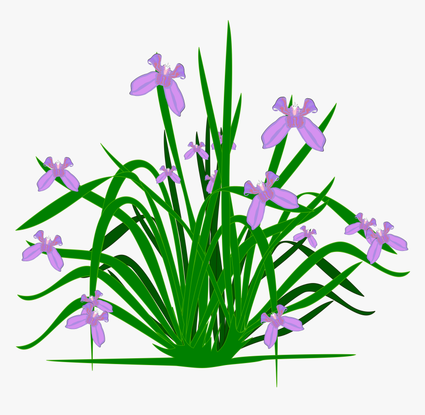 Transparent Healthy Clipart - Plant Garden Free Png, Png Download