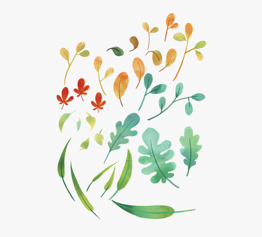 Plantas, Las Hojas, Hojas, Hoja De Arce, Patrón, Fondo - Floral Design, HD Png Download