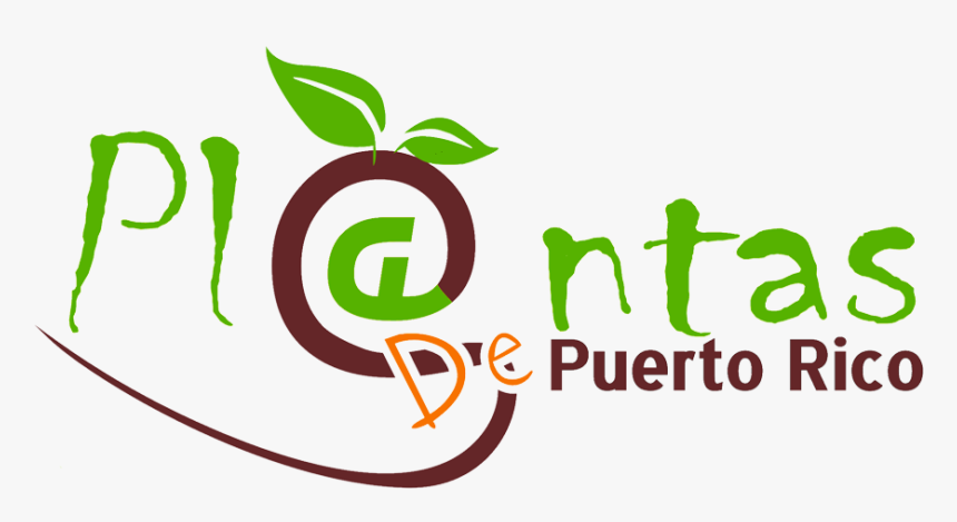 Plantas De Sol En Puerto Rico, HD Png Download
