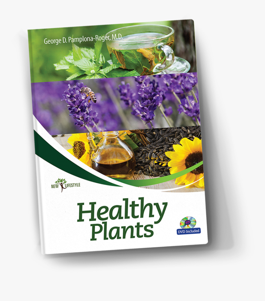 Dr Pamplona Roger, HD Png Download , Transparent Png Image PNGitem