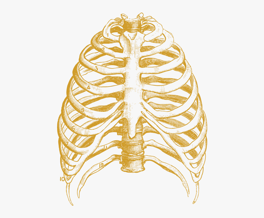 Memphis May Fire The Old Me Album, HD Png Download