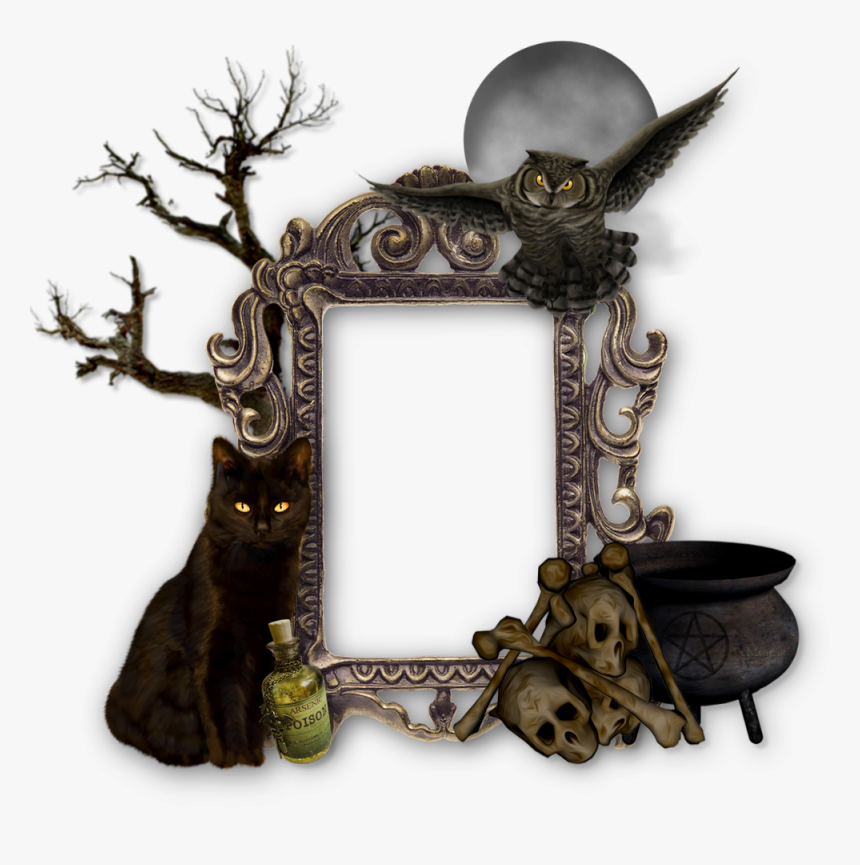 Halloween Frame Png - Arbre Png Halloween, Transparent Png