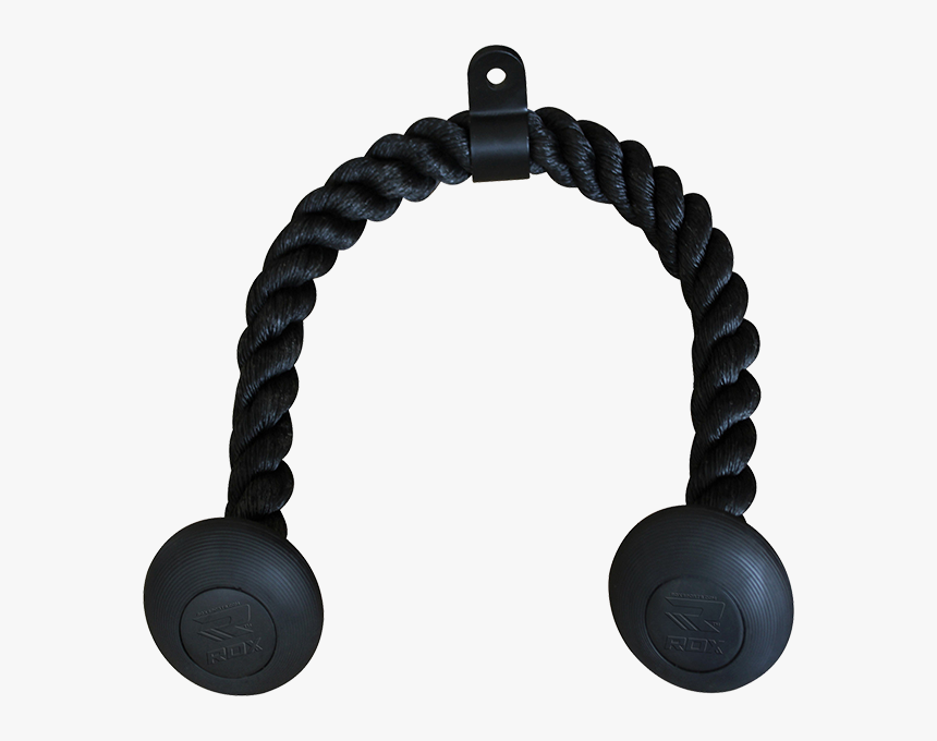 Gym Triceps Rope 24 -25 - Triceps Brachii Muscle, HD Png Download