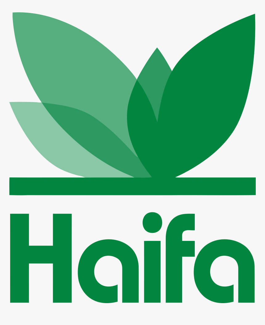 Haifa Group, HD Png Download