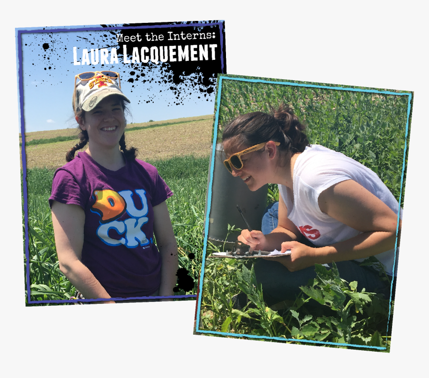 Garden, HD Png Download