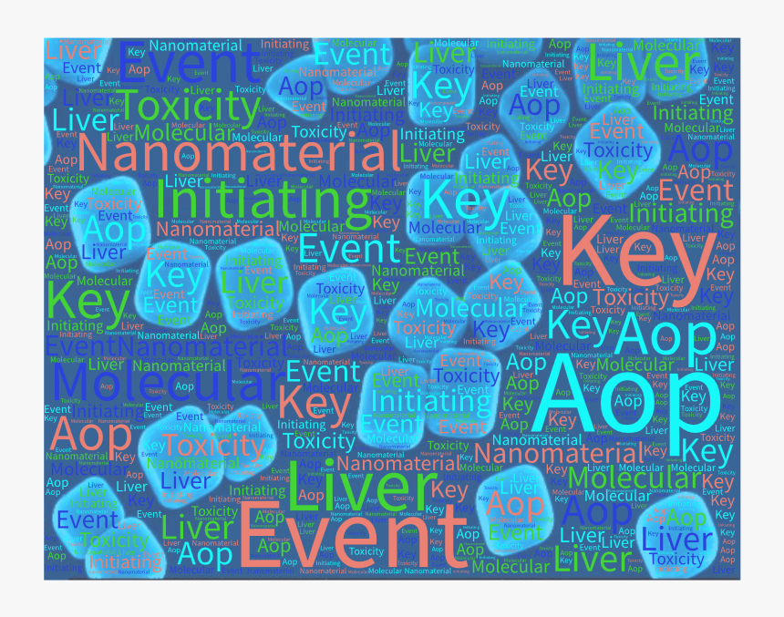 Understanding Nanomaterial Toxicity By Leveraging Mechanistic - Poster, HD Png Download