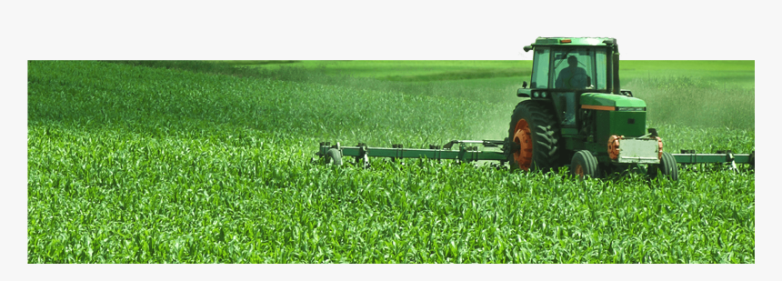 Our Farming Experts Use Decades Of Experience And Research - Green Giant Vegetable Farm, HD Png Download