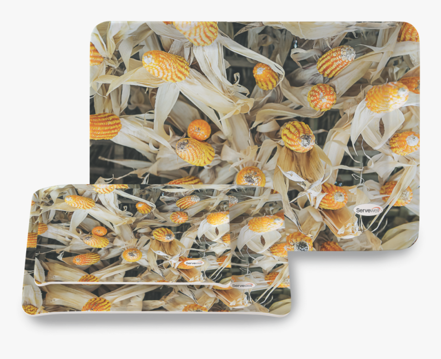 3 Pc Stylo Tray Set - Shell, HD Png Download