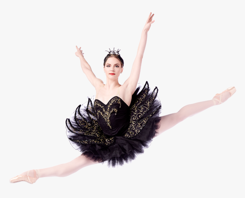 Blackswan Leapnobg - Turn, HD Png Download