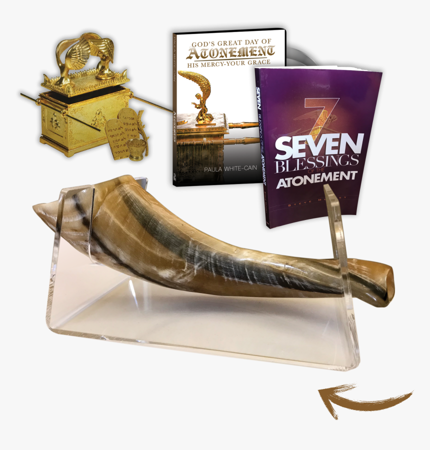 Paula White Ministries - Ivory, HD Png Download