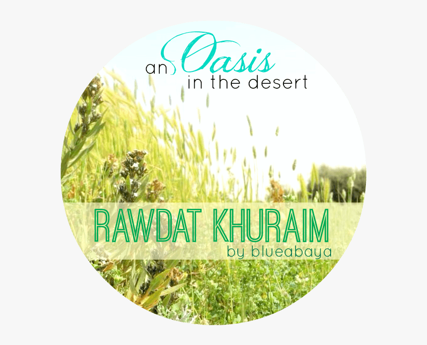 Oasis Desert Saudi Arabia - Waze & Odyssey, HD Png Download