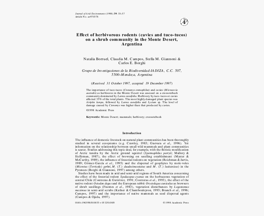 Document, HD Png Download