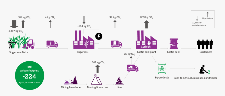During The Growing Of The Sugar Cane, Co2 Is Absorbed, HD Png Download