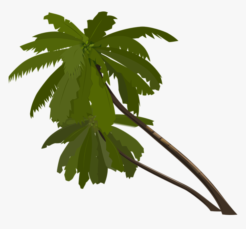 Thumb Image - Jungle Tree Cartoon Png, Transparent Png