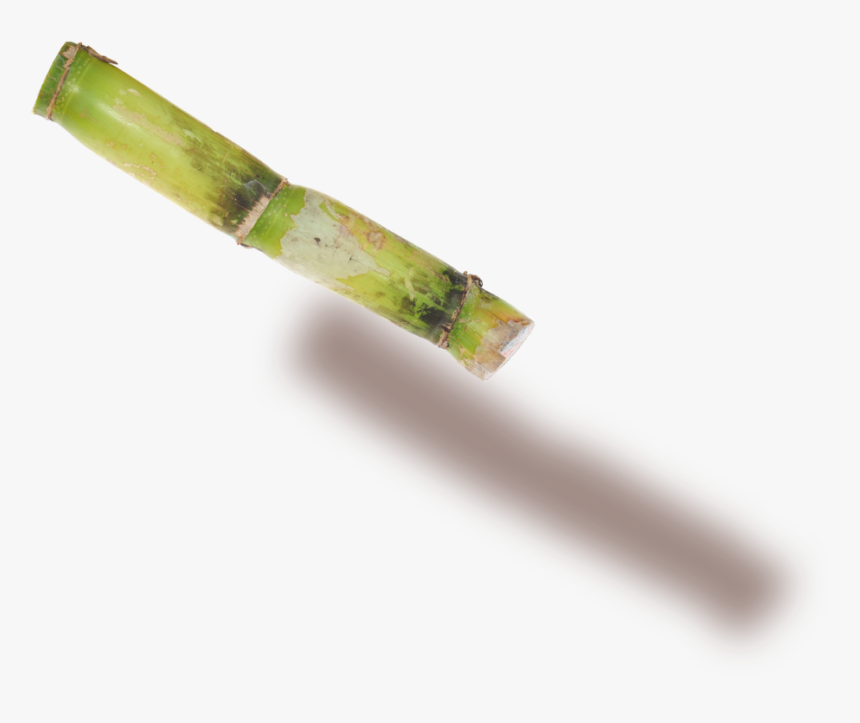 Plant Stem - Wood, HD Png Download