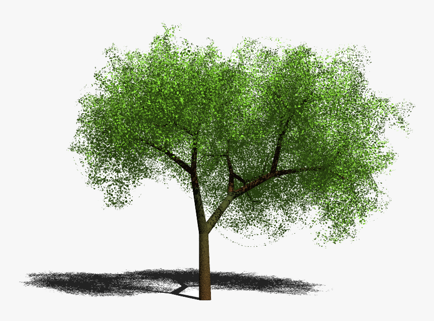 Clip Art Arvore Sombra - Arvore Png Para Photoshop, Transparent Png