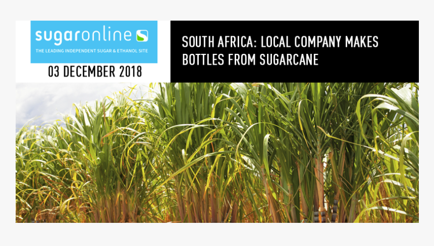 Sugarcane Company, HD Png Download
