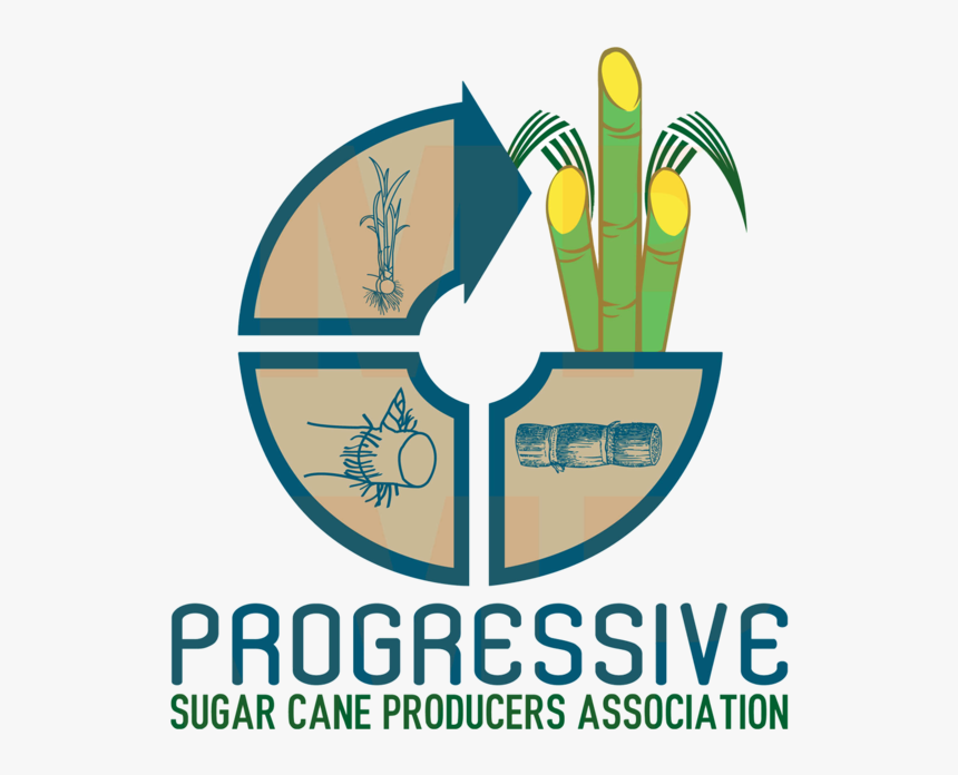 Progressive Sugar Cane Producers Association, HD Png Download